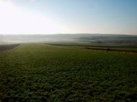  Blick zur Wanderstreck - auf dem Hintermhlweg 