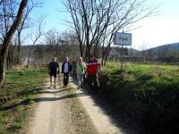  Marathonis am Ortsende von Plank am Kamp 