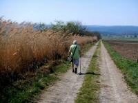  die ebene Wanderroute nach Maiersch 