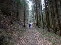  Blick auf die Wanderstrecke 