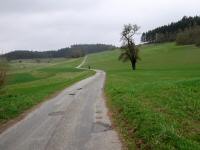  Blick auf die Wanderstrecke durch die Riede Burgstall 