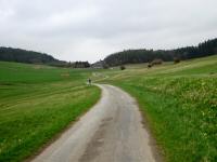  Blick auf die Wanderstrecke durch die Riede Burgstall 