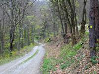  Blick auf die Wanderstrecke 