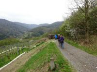  Blick auf die Wanderstrecke 