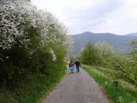  Blick auf die Wanderstrecke 