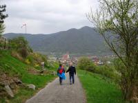  Wanderroute nach Weienkirchen in der Wachau 