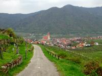  Wanderroute nach Weienkirchen in der Wachau 