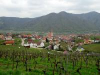 sehr schner Fernblick nach Weienkirchen in der Wachau 