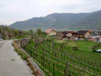 Wanderroute durch die Riede Weitenberg nach Weienkirchen in der Wachau 