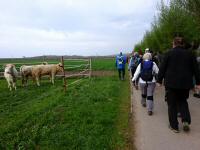 Wanderroute ber die Pater Ludwig-Koller Promenade 