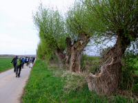 Wanderroute ber die Pater Ludwig-Koller Promenade 