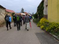  Wanderroute ber den Sonnleitenweg in Obernalb 