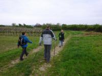  Wanderroute durch die Weinrieden von Mittelberg 