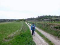  Wanderroute durch die Weinrieden von Mittelberg 