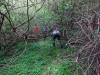  Wandertroute mit Hindernissen 