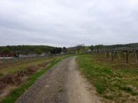  Wanderroute nach Rosenau zur Kellergasse Sandweg 