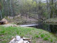  Blick zu einen idyllischen Waldteich 