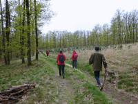  Wanderroute durch die Waldriede "Totenweib" 