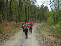  Wanderroute durch die Waldriede "Totenweib" 