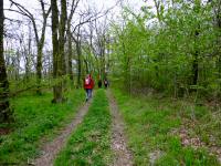  Wanderroute zum Tal des Passendorfer Bachs 