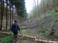 Wanderroute mit Hindernissen durch das Tal des Passendorfer Bachs 