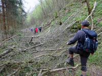 Wanderroute mit Hindernissen durch das Tal des Passendorfer Bachs 