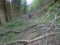 Wanderroute mit Hindernissen durch das Tal des Passendorfer Bachs 