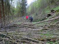 Wanderroute mit Hindernissen durch das Tal des Passendorfer Bachs 