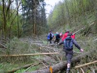 Wanderroute mit Hindernissen durch das Tal des Passendorfer Bachs 