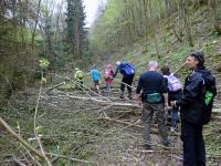 Wanderroute mit Hindernissen durch das Tal des Passendorfer Bachs 