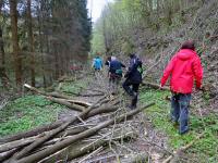 Wanderroute mit Hindernissen durch das Tal des Passendorfer Bachs 