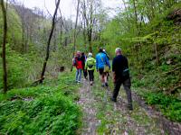  Wanderroute durch das Tal des Passendorfer Bachs 