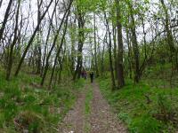  Wanderroute bergan auf die Heide 