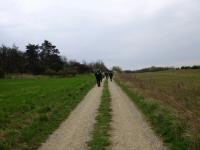  Wanderroute auf der Heide 