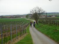  Wanderroute nach Rafing 