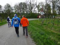  Wanderroute zum Pulkauer Brndl 