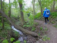 Wanderroute auf dem Quellenweg - Waldlehrpfad zum Freizeitzentrum Pulkau 