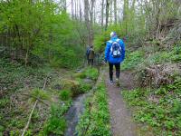 Wanderroute auf dem Quellenweg - Waldlehrpfad zum Freizeitzentrum Pulkau  