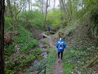 Wanderroute auf dem Quellenweg - Waldlehrpfad zum Freizeitzentrum Pulkau 