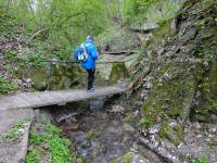 Wanderroute auf dem Quellenweg - Waldlehrpfad zum Freizeitzentrum Pulkau 