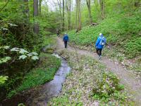 Wanderroute auf dem Quellenweg - Waldlehrpfad zum Freizeitzentrum Pulkau 