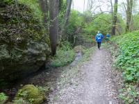 Wanderroute auf dem Quellenweg - Waldlehrpfad zum Freizeitzentrum Pulkau 