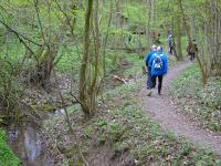 Wanderroute auf dem Quellenweg - Waldlehrpfad zum Freizeitzentrum Pulkau 