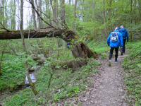 Wanderroute auf dem Quellenweg - Waldlehrpfad zum Freizeitzentrum Pulkau 