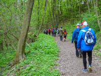 Wanderroute auf dem Quellenweg - Waldlehrpfad zum Freizeitzentrum Pulkau 