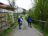  Wanderroute auf der Ufergasse in Pulkau 