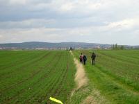  die ebene Wanderroute zum Schrattenbach 