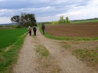  die ebene Wanderroute zum Schrattenbach 