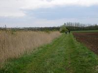  die ebene Wanderroute entlang des Schrattenbach 