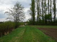  die ebene Wanderroute entlang des Schrattenbach 